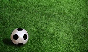 正版九游奥甲手机版(正版九游奥甲手机版)-第1张图片